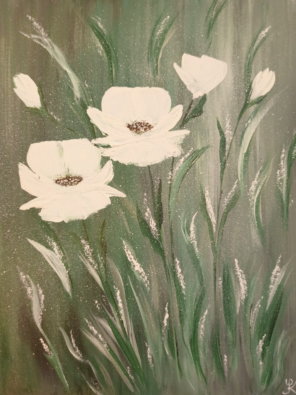 Vlčí máky béžové